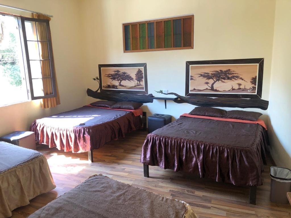 Hostal Huacachina Sunset Ίκα Εξωτερικό φωτογραφία